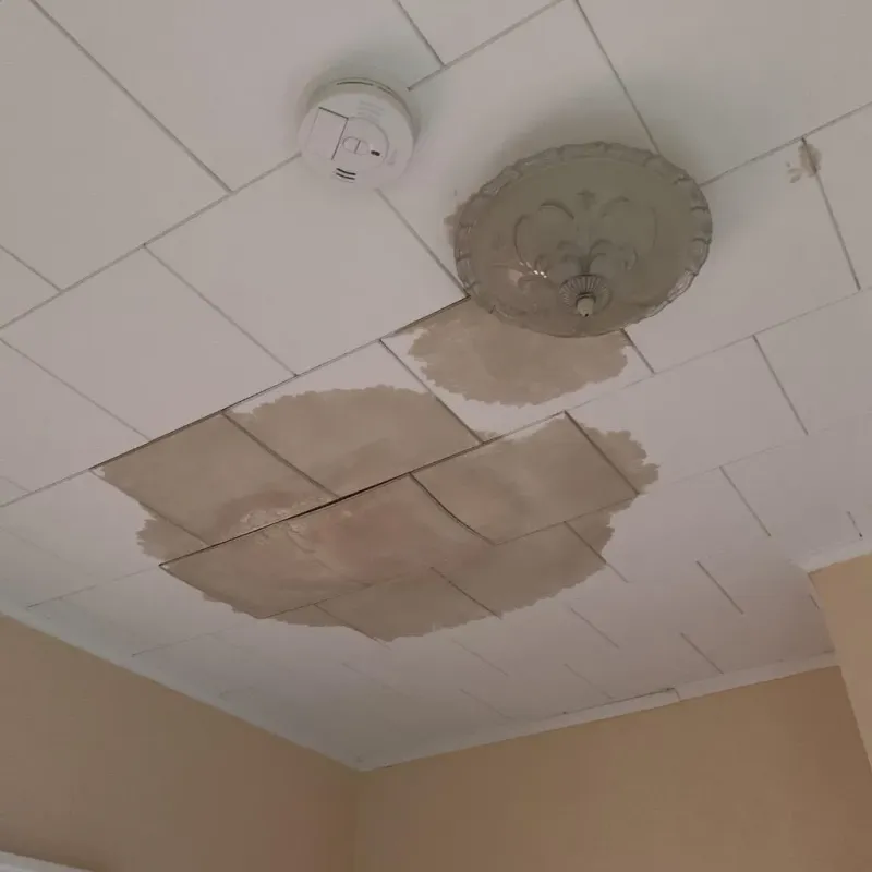 Ceiling Water Damage Repair in New Hartford Center, CT